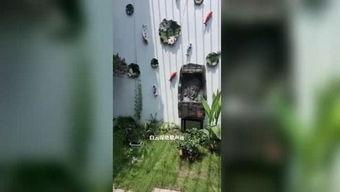 小香蕉午夜在线视频观看,揭秘热门在线视频背后的故事