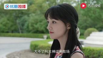 香苗梨暖在线视频,一场别开生面的在线视频盛宴